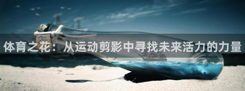 体育之花：从运动剪影中寻找未来活力的力量