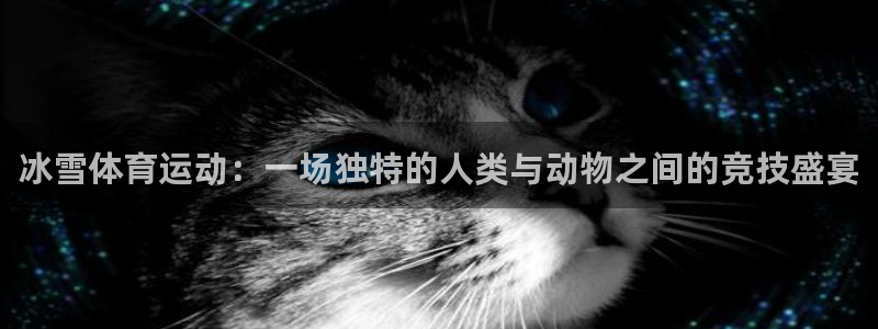 冰雪体育运动：一场独特的人类与动物之间的竞技盛宴
