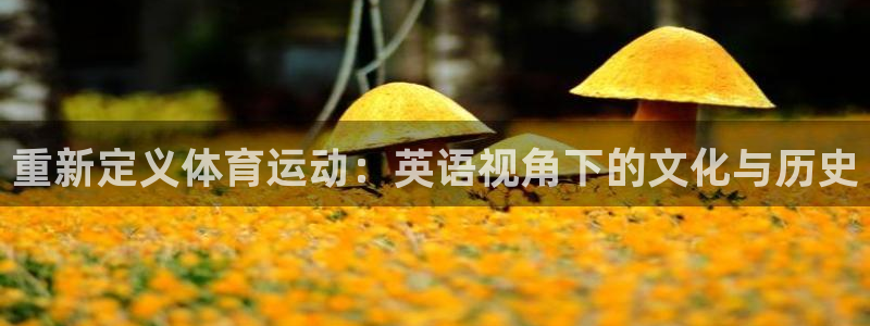 重新定义体育运动：英语视角下的文化与历史