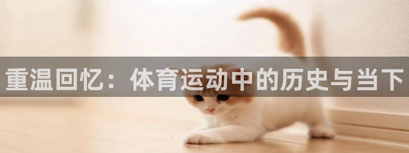 重温回忆：体育运动中的历史与当下