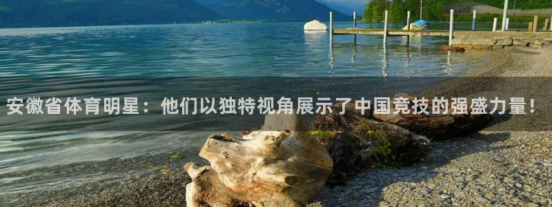 安徽省体育明星：他们以独特视角展示了中国竞技的强盛力量！