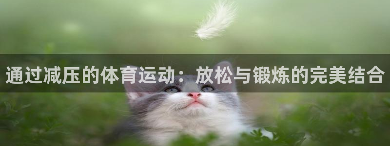 通过减压的体育运动：放松与锻炼的完美结合