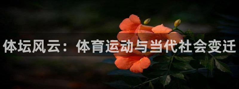 体坛风云：体育运动与当代社会变迁