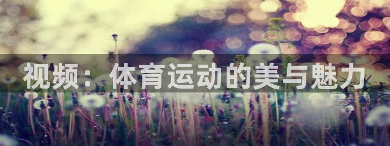 视频：体育运动的美与魅力