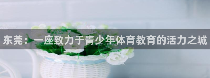 东莞：一座致力于青少年体育教育的活力之城