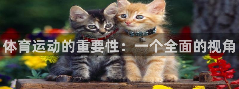体育运动的重要性：一个全面的视角