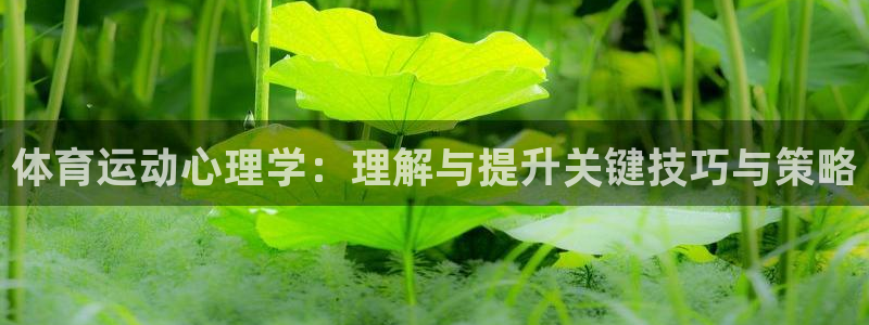 体育运动心理学：理解与提升关键技巧与策略