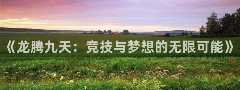 《龙腾九天：竞技与梦想的无限可能》